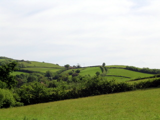 2005-05-29-16-12-47_combe_in_teign_head_maidencombe_shaldon_may_05-009_combe_in_teign_head_maidencombe_shaldon_may_05.jpg  combe_in_teign_head_maidencombe_shaldon_may_05 
