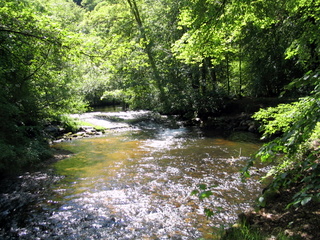 2005-05-30-14-24-11_gardens_lustleigh_higher_knowle-003_gardens_lustleigh_higher_knowle.jpg  gardens_lustleigh_higher_knowle 