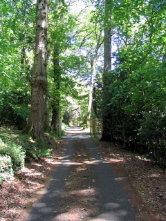 2005-05-30-14-58-09_gardens_lustleigh_higher_knowle-005_gardens_lustleigh_higher_knowle.jpg  gardens_lustleigh_higher_knowle 