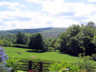 2005-05-30-15-08-06_gardens_lustleigh_higher_knowle-009_gardens_lustleigh_higher_knowle.jpg  gardens_lustleigh_higher_knowle 