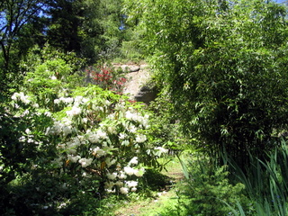 2005-05-30-15-15-51_gardens_lustleigh_higher_knowle-014_gardens_lustleigh_higher_knowle.jpg  gardens_lustleigh_higher_knowle 