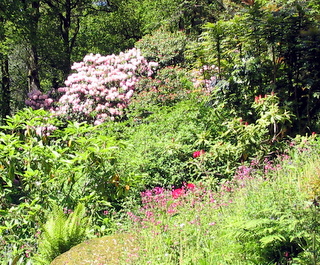 2005-05-30-15-18-35_gardens_lustleigh_higher_knowle-015_gardens_lustleigh_higher_knowle.jpg  gardens_lustleigh_higher_knowle 
