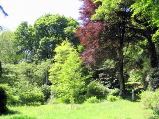 2005-05-30-15-27-04_gardens_lustleigh_higher_knowle-018_gardens_lustleigh_higher_knowle.jpg  gardens_lustleigh_higher_knowle 