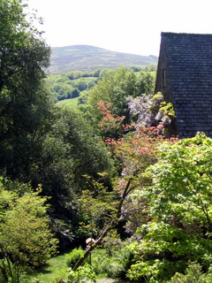 2005-05-30-15-28-59_gardens_lustleigh_higher_knowle-021_gardens_lustleigh_higher_knowle.jpg  gardens_lustleigh_higher_knowle 