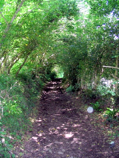 2005-05-30-15-54-25_gardens_lustleigh_higher_knowle-026_gardens_lustleigh_higher_knowle.jpg  gardens_lustleigh_higher_knowle 