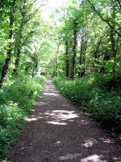 2005-05-30-16-17-15_gardens_lustleigh_higher_knowle-027_gardens_lustleigh_higher_knowle.jpg  gardens_lustleigh_higher_knowle 