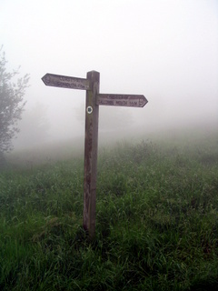 2005-06-01-11-50-41_sidford_sidmouth_mist_june_05-005_sidford_sidmouth_mist_june_05.jpg  sidford_sidmouth_mist_june_05 