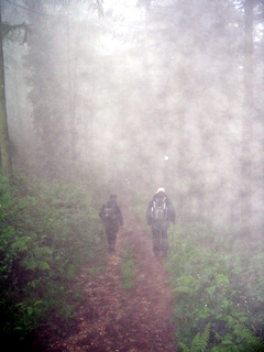 2005-06-01-12-14-14_sidford_sidmouth_mist_june_05-007_sidford_sidmouth_mist_june_05.jpg  sidford_sidmouth_mist_june_05 