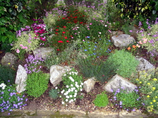 2005-06-01-16-36-05_sidford_sidmouth_mist_june_05-017_sidford_sidmouth_mist_june_05.jpg  sidford_sidmouth_mist_june_05 