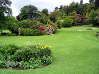 2005-06-04-13-04-21_killerton_garden_june_05-002_killerton_garden_june_05.jpg 2005-06-04-13-04-21_killerton_garden_june_05-002_killerton_garden_june_05.jpg killerton_garden_june_05