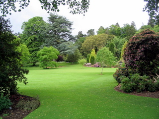2005-06-04-13-05-49_killerton_garden_june_05-005_killerton_garden_june_05.jpg 2005-06-04-13-05-49_killerton_garden_june_05-005_killerton_garden_june_05.jpg killerton_garden_june_05