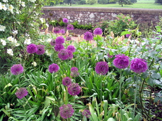 2005-06-04-13-07-03_killerton_garden_june_05-006_killerton_garden_june_05.jpg 2005-06-04-13-07-03_killerton_garden_june_05-006_killerton_garden_june_05.jpg killerton_garden_june_05