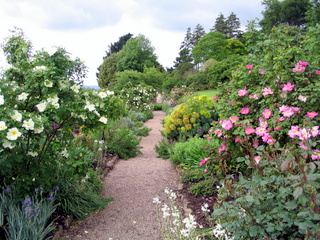 2005-06-04-13-07-48_killerton_garden_june_05-007_killerton_garden_june_05.jpg 2005-06-04-13-07-48_killerton_garden_june_05-007_killerton_garden_june_05.jpg killerton_garden_june_05