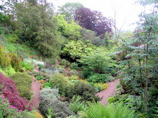2005-06-04-13-16-22_killerton_garden_june_05-011_killerton_garden_june_05.jpg 2005-06-04-13-16-22_killerton_garden_june_05-011_killerton_garden_june_05.jpg killerton_garden_june_05