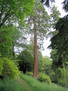 2005-06-04-13-21-10_killerton_garden_june_05-014_killerton_garden_june_05.jpg 2005-06-04-13-21-10_killerton_garden_june_05-014_killerton_garden_june_05.jpg killerton_garden_june_05