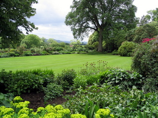 2005-06-04-13-33-08_killerton_garden_june_05-023_killerton_garden_june_05.jpg 2005-06-04-13-33-08_killerton_garden_june_05-023_killerton_garden_june_05.jpg killerton_garden_june_05