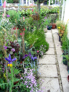 2005-06-04-14-34-53_bovey_tracey_gardens_june_05-013_bovey_tracey_gardens_june_05.jpg  bovey_tracey_gardens_june_05 