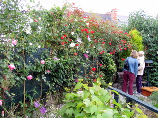 2005-06-04-14-35-47_bovey_tracey_gardens_june_05-014_bovey_tracey_gardens_june_05.jpg  bovey_tracey_gardens_june_05 