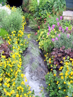 2005-06-04-14-36-13_bovey_tracey_gardens_june_05-001_bovey_tracey_gardens_june_05.jpg  bovey_tracey_gardens_june_05 