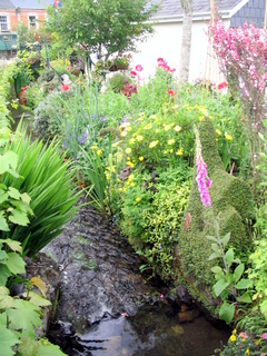 2005-06-04-14-38-11_bovey_tracey_gardens_june_05-002_bovey_tracey_gardens_june_05.jpg  bovey_tracey_gardens_june_05 