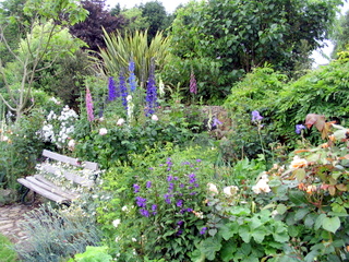 2005-06-04-14-45-46_bovey_tracey_gardens_june_05-003_bovey_tracey_gardens_june_05.jpg  bovey_tracey_gardens_june_05 