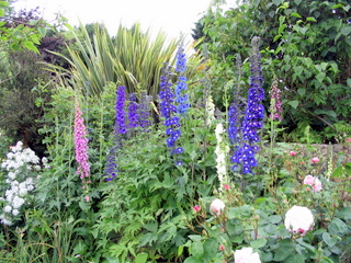 2005-06-04-14-45-57_bovey_tracey_gardens_june_05-004_bovey_tracey_gardens_june_05.jpg  bovey_tracey_gardens_june_05 
