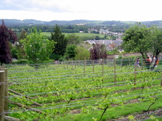 2005-06-04-15-06-25_bovey_tracey_gardens_june_05-006_bovey_tracey_gardens_june_05.jpg  bovey_tracey_gardens_june_05 
