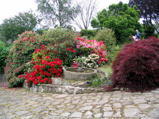 2005-06-04-15-19-52_bovey_tracey_gardens_june_05-007_bovey_tracey_gardens_june_05.jpg  bovey_tracey_gardens_june_05 