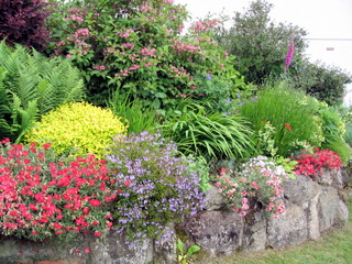 2005-06-04-15-33-37_bovey_tracey_gardens_june_05-009_bovey_tracey_gardens_june_05.jpg  bovey_tracey_gardens_june_05 
