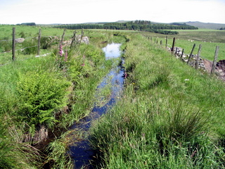 2005-06-22-10-52-25_princetown_swincombe_whiteworks-009_princetown_swincombe_whiteworks.jpg 2005-06-22-10-52-25_princetown_swincombe_whiteworks-009_princetown_swincombe_whiteworks.jpg princetown_swincombe_whiteworks