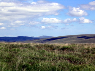 2005-06-22-14-26-12_princetown_swincombe_whiteworks-037_princetown_swincombe_whiteworks.jpg 2005-06-22-14-26-12_princetown_swincombe_whiteworks-037_princetown_swincombe_whiteworks.jpg princetown_swincombe_whiteworks