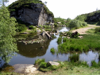 2005-06-26-10-45-20_haytor_bonehill-003_haytor_bonehill.jpg  haytor_bonehill 