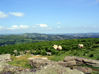 2005-06-26-11-05-59_haytor_bonehill-008_haytor_bonehill.jpg  haytor_bonehill 