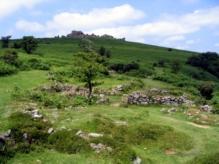 2005-06-26-12-16-45_haytor_bonehill-012_haytor_bonehill.jpg  haytor_bonehill 