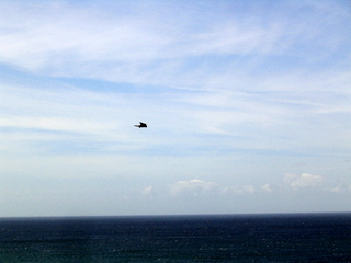 2005-07-06-12-03-08_east_portlemouth_beesands-023_east_portlemouth_beesands.jpg  east_portlemouth_beesands 