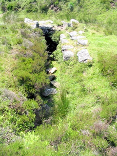 2005-07-10-13-04-37_cadover_plym_steps-025_cadover_plymn.jpg  cadover_plymn 