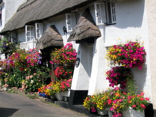2005-07-15-11-31-37_branscombe_july_05-002_branscombe_july_05.jpg  branscombe_july_05 