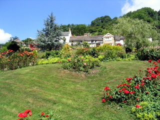 2005-07-15-11-38-15_branscombe_july_05-005_branscombe_july_05.jpg  branscombe_july_05 