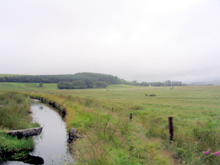 2005-07-24-11-25-01_princetown_duckspool_july_05-002_princetown_duckspool.jpg 2005-07-24-11-25-01_princetown_duckspool_july_05-002_princetown_duckspool.jpg princetown_duckspool