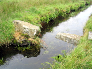 2005-07-24-11-29-28_princetown_duckspool_july_05-003_princetown_duckspool.jpg 2005-07-24-11-29-28_princetown_duckspool_july_05-003_princetown_duckspool.jpg princetown_duckspool
