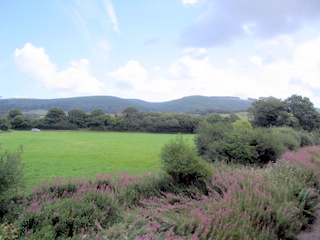 2005-08-03-12-03-38_west_quantocks_aug_05-006_quantocks_train.jpg  quantocks_train 