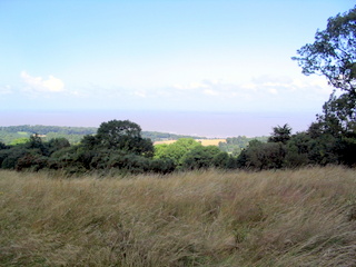 2005-08-03-12-55-53_west_quantocks_aug_05-012_quantocks_train.jpg  quantocks_train 