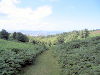 2005-08-03-13-22-30_west_quantocks_aug_05-015_quantocks_train.jpg  quantocks_train 