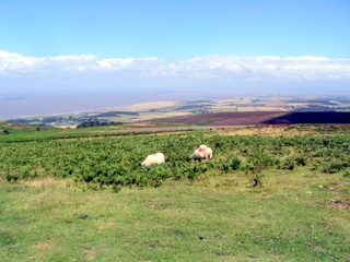 2005-08-03-13-31-56_west_quantocks_aug_05-018_quantocks_train.jpg  quantocks_train 