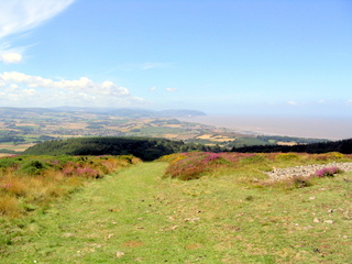 2005-08-03-13-32-23_west_quantocks_aug_05-019_quantocks_train.jpg  quantocks_train 