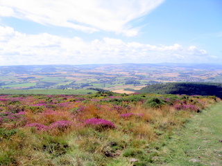2005-08-03-13-32-29_west_quantocks_aug_05-020_quantocks_train.jpg  quantocks_train 