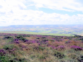 2005-08-03-13-32-33_west_quantocks_aug_05-021_quantocks_train.jpg  quantocks_train 