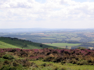 2005-08-03-14-38-18_west_quantocks_aug_05-025_quantocks_train.jpg  quantocks_train 