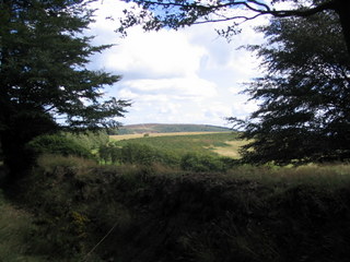 2005-08-03-15-41-45_west_quantocks_aug_05-029_quantocks_train.jpg  quantocks_train 