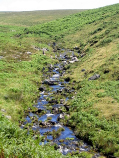 2005-08-07-12-31-55_cadover_hartor_ringmoor_wigford_aug_05-008_cadover_plym_hartor_gutter_ringmoor_wigford.jpg  cadover_plym_hartor_gutter_ringmoor_wigford 